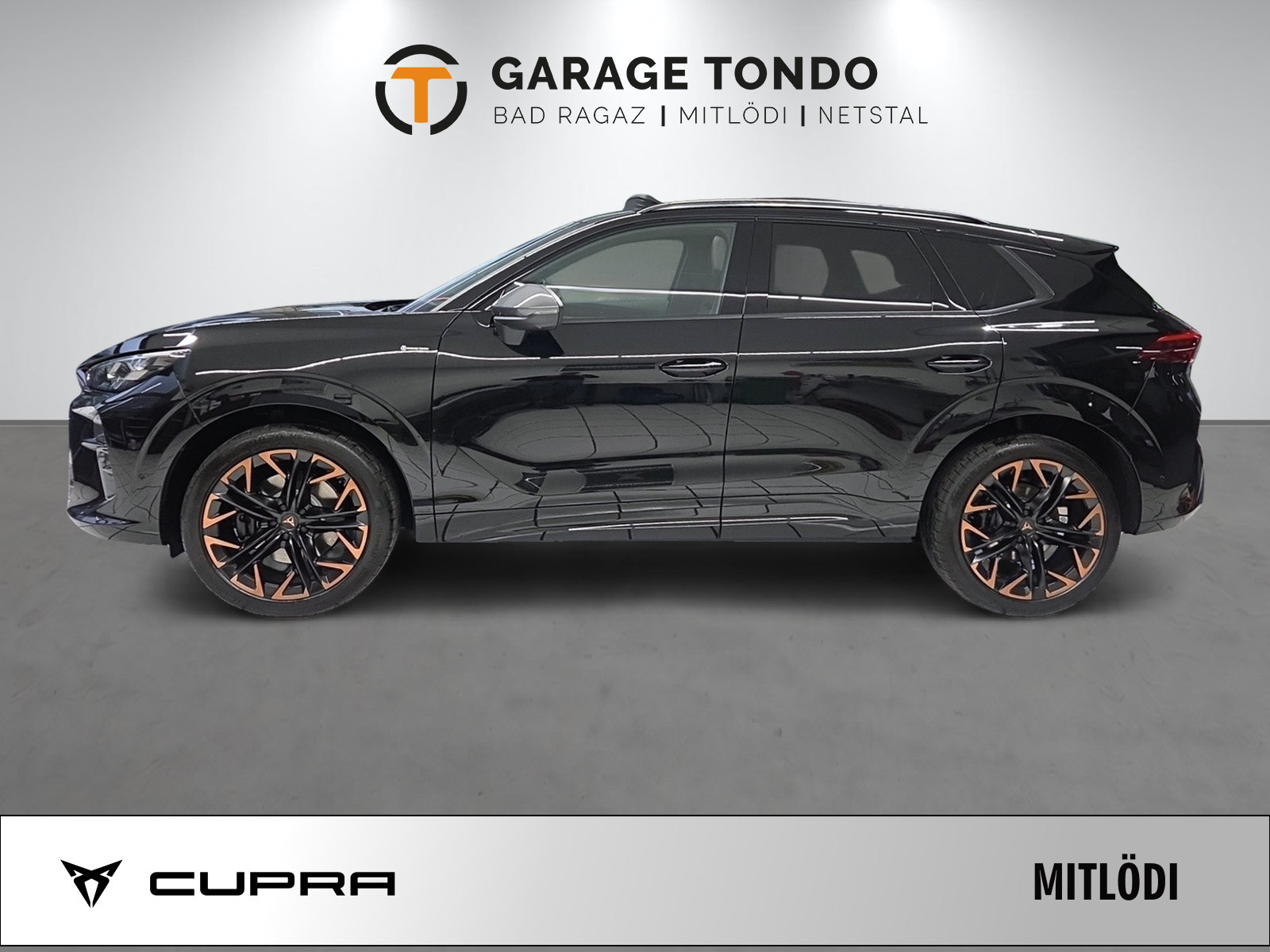 CUPRA Terramar 2.0 TSI Prime Edition VZ 4Drive DSG, Essence, Voiture nouvelle, Automatique - 4