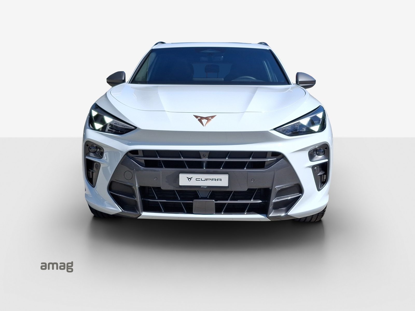 CUPRA TERRAMAR VZ 4DRIVE PRIME EDITION, Benzin, Neuwagen, Automatik - 7