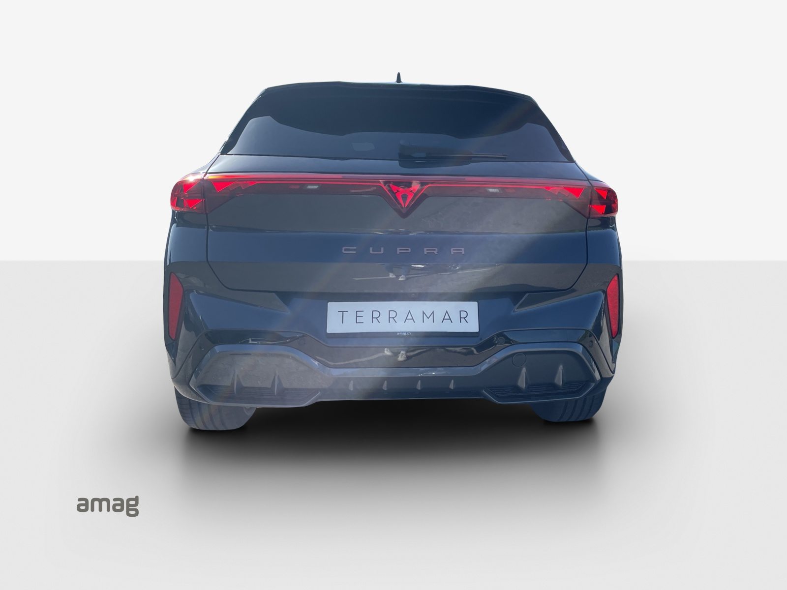 CUPRA TERRAMAR PRIME EDITION, Benzin, Neuwagen, Automatik - 4