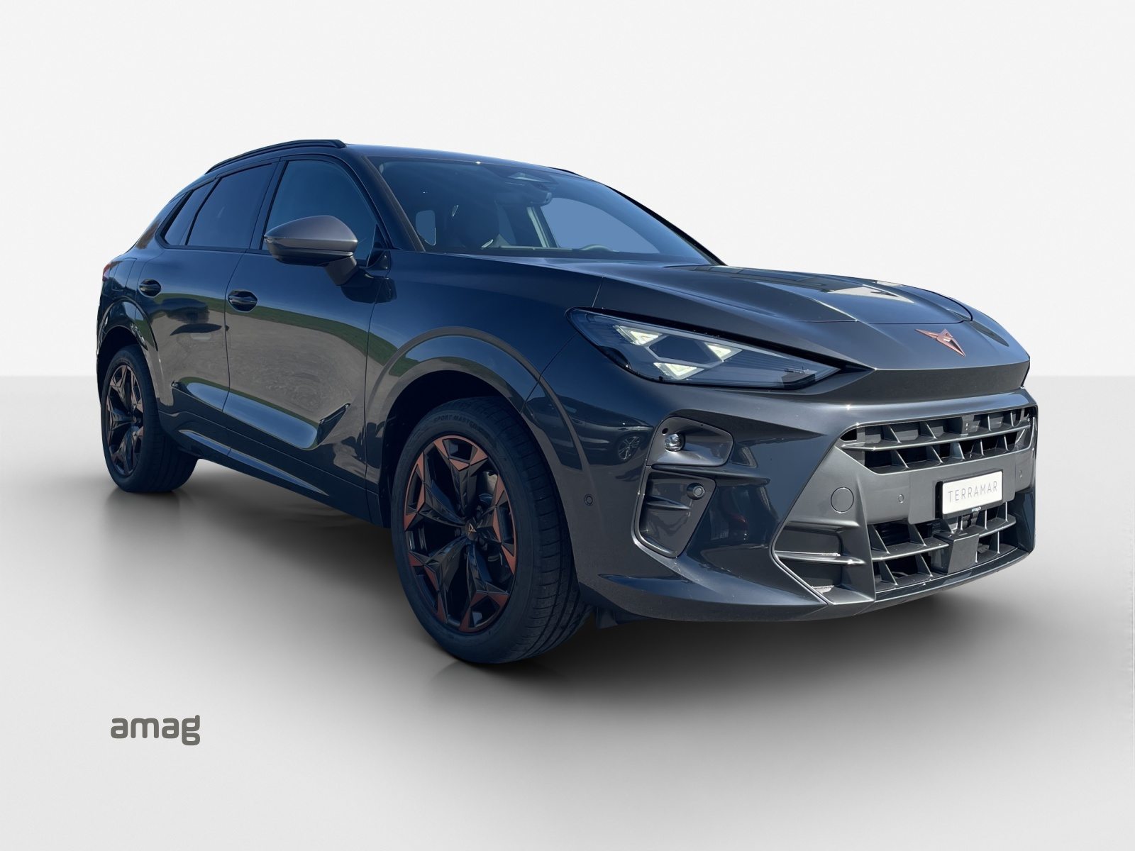 CUPRA TERRAMAR PRIME EDITION, Benzin, Neuwagen, Automatik - 6