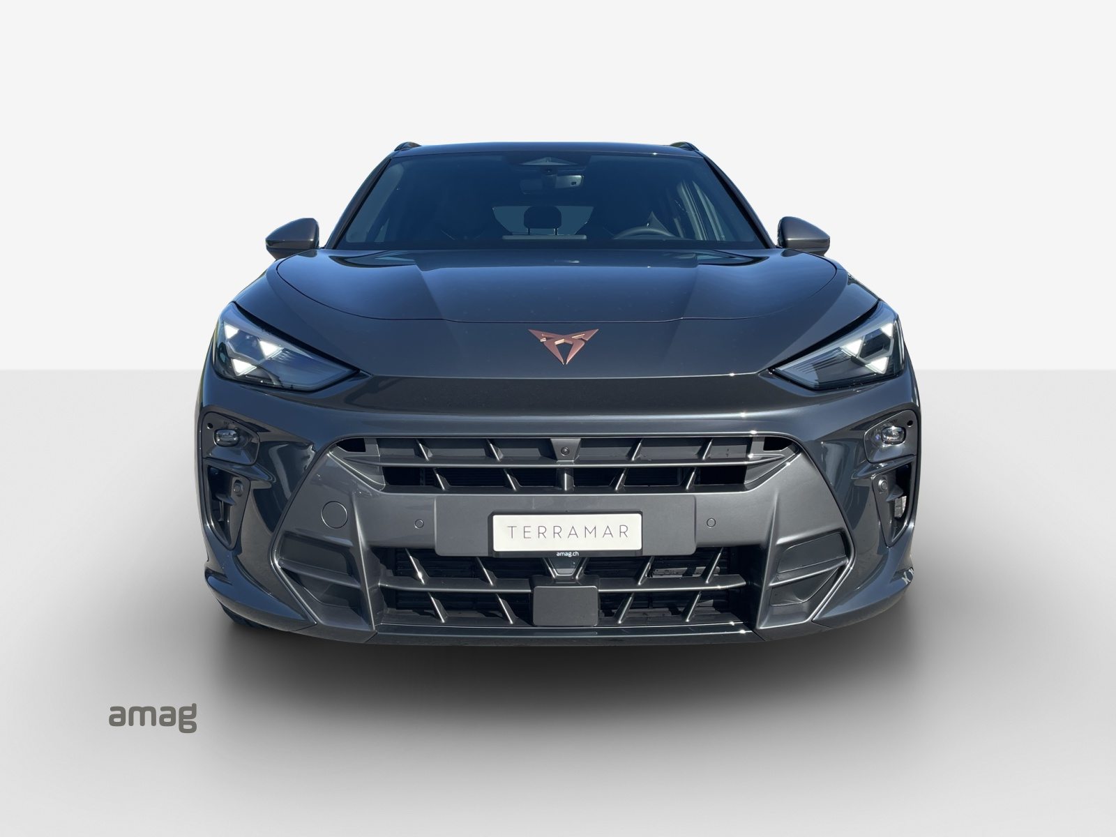 CUPRA TERRAMAR PRIME EDITION, Benzin, Neuwagen, Automatik - 7