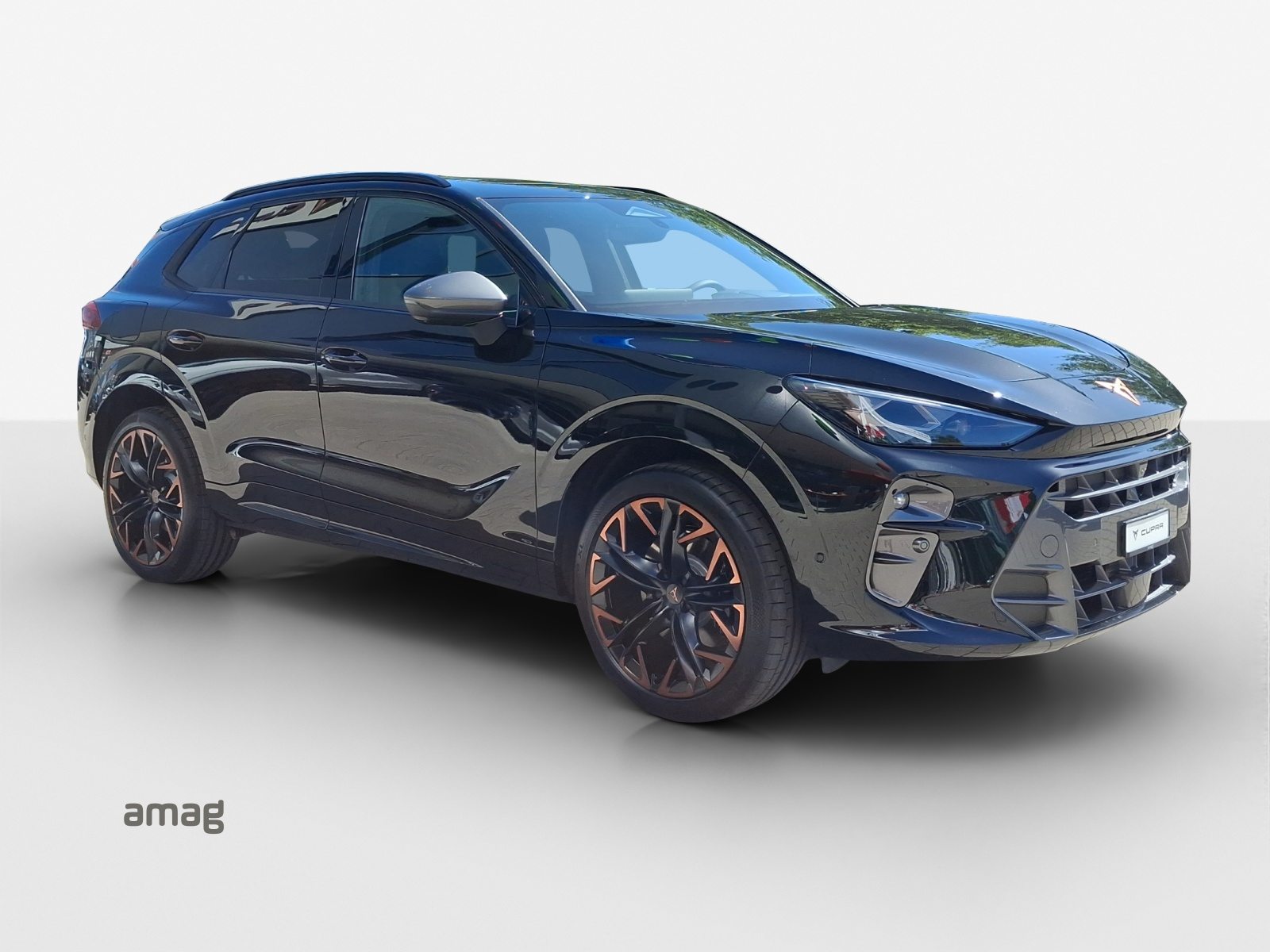 CUPRA TERRAMAR VZ 4DRIVE PRIME EDITION, Benzin, Neuwagen, Automatik - 6