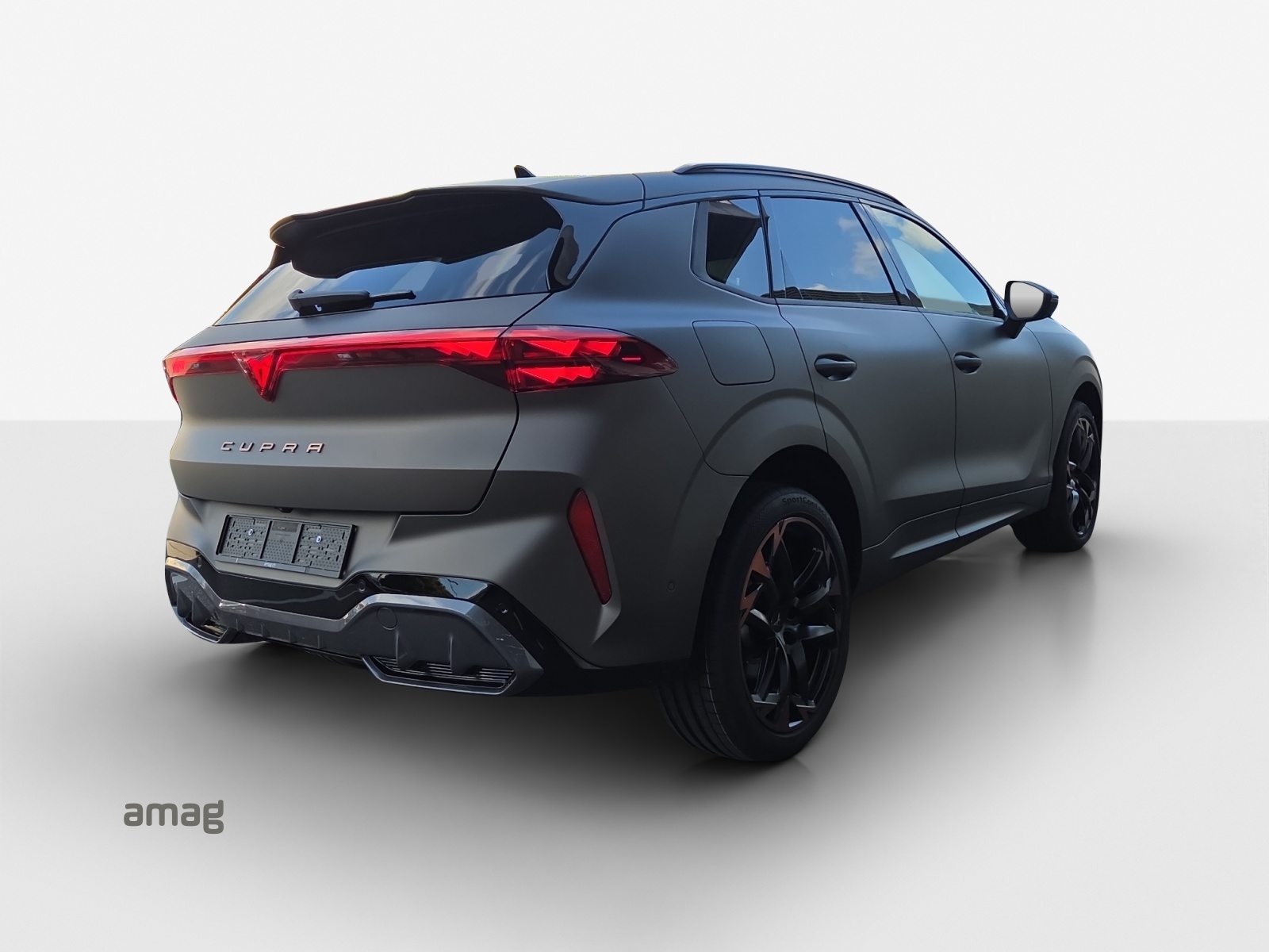 CUPRA TERRAMAR 4DRIVE PRIME EDITION, Petrol, New car, Automatic - 5