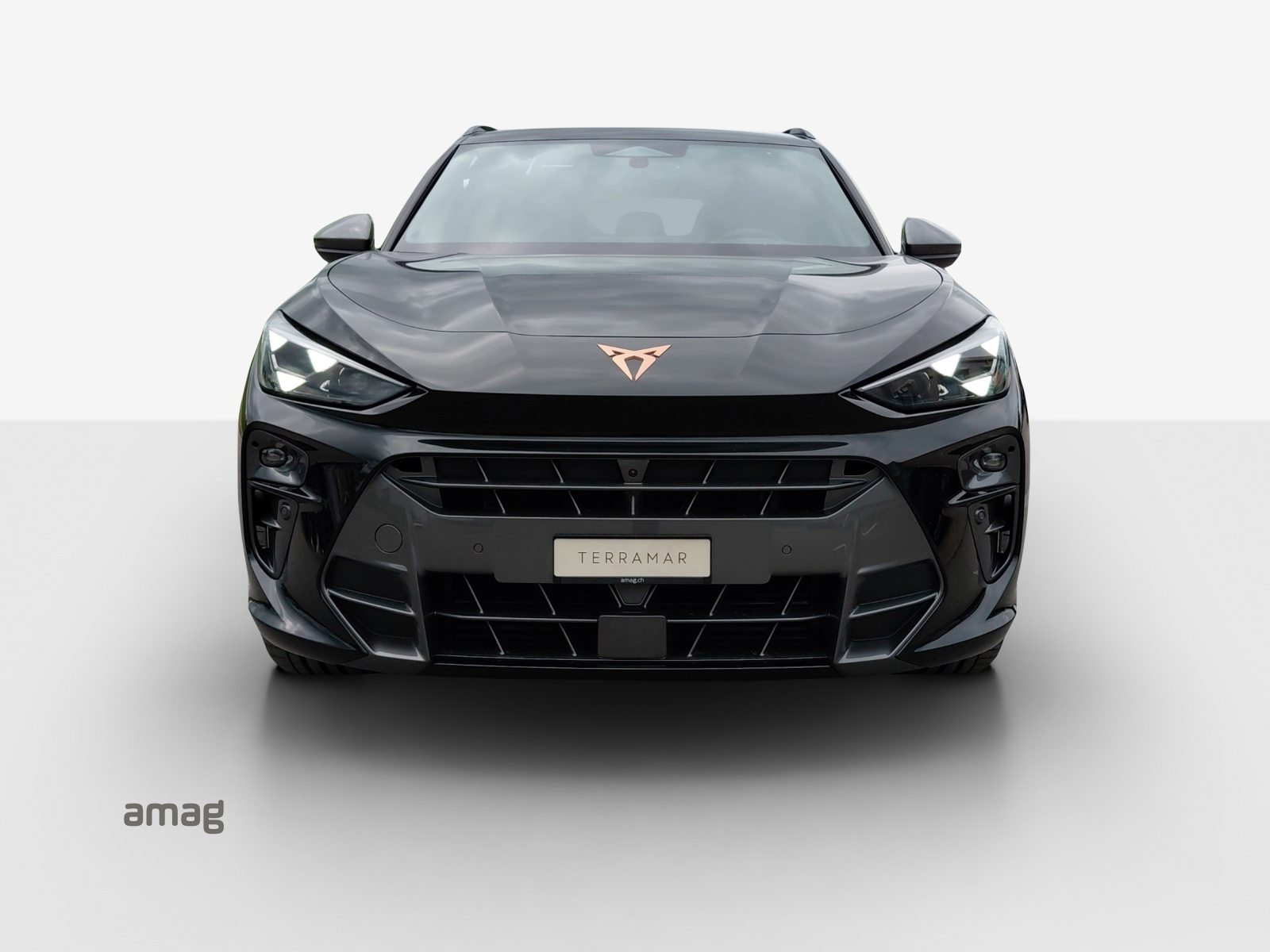 CUPRA TERRAMAR VZ 4DRIVE PRIME EDITION, Benzin, Neuwagen, Automatik - 7