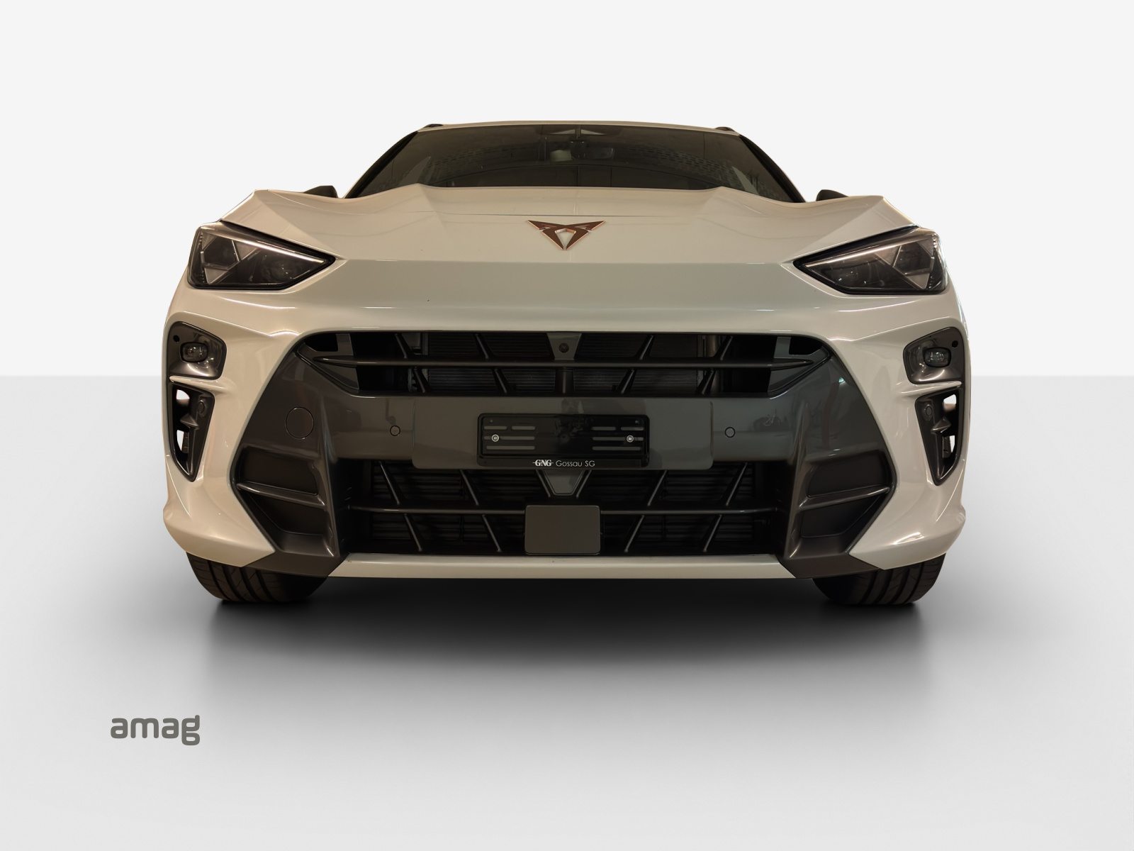 CUPRA TERRAMAR 4DRIVE PRIME EDITION, Benzina, Auto nuove, Automatico - 7