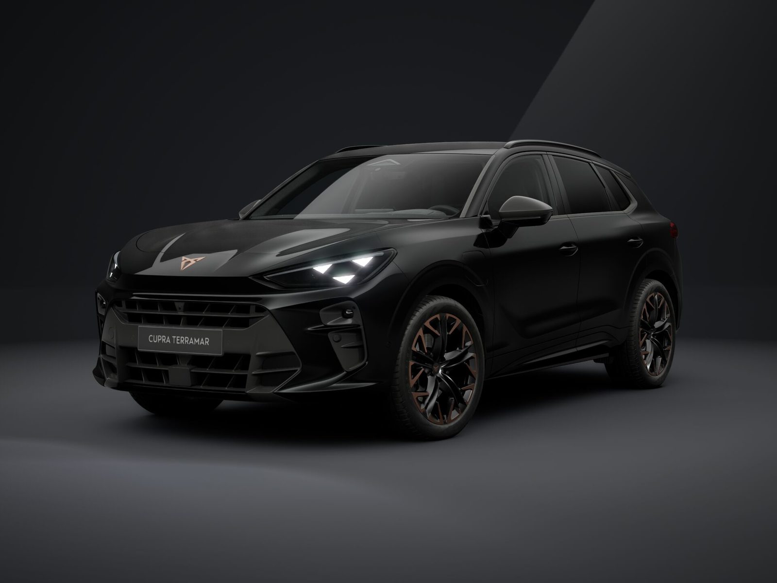 CUPRA TERRAMAR VZ e-HYBRID PRIME EDITION, Hybride Integrale Benzina/Elettrica, Auto nuove, Automatico - 3