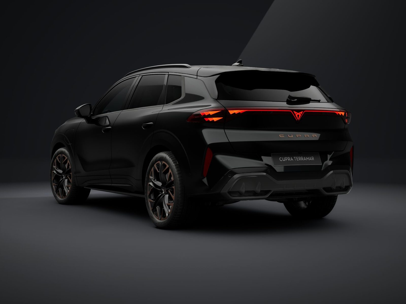 CUPRA TERRAMAR VZ e-HYBRID PRIME EDITION, Hybride Integrale Benzina/Elettrica, Auto nuove, Automatico - 5