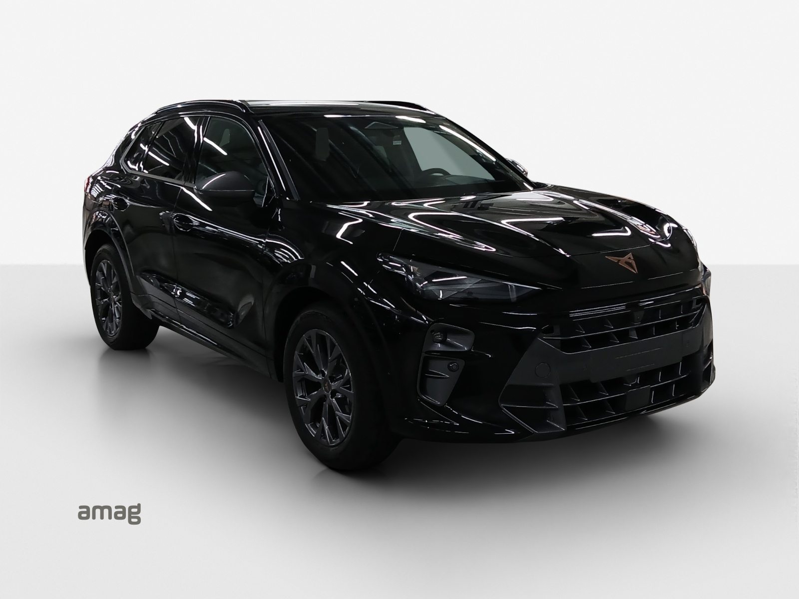 CUPRA TERRAMAR PRIME EDITION, Benzin, Neuwagen, Automatik - 6