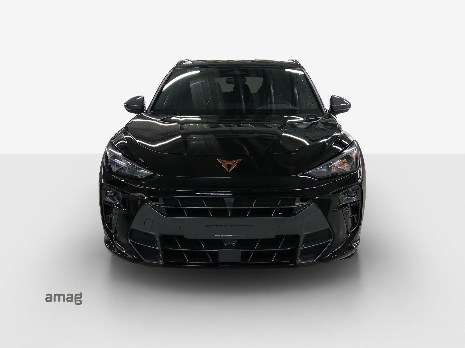 CUPRA TERRAMAR PRIME EDITION, Benzin, Neuwagen, Automatik - 7
