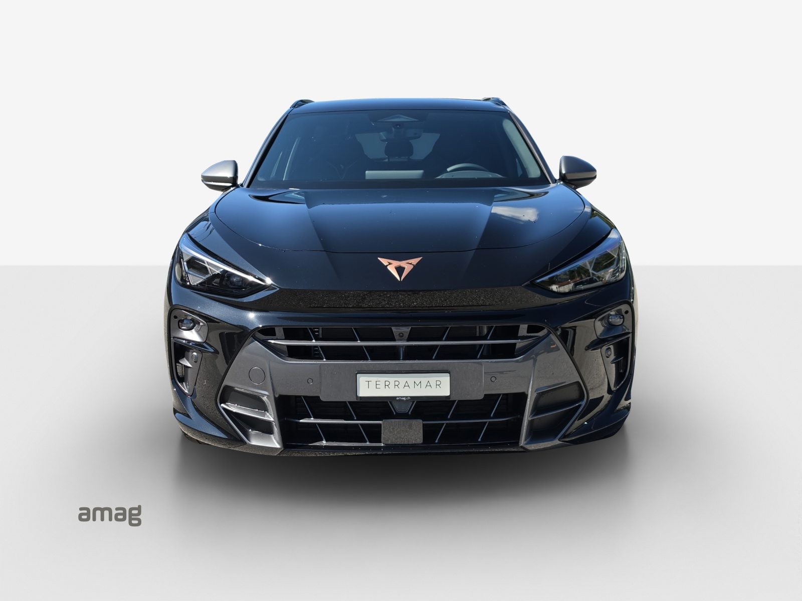 CUPRA TERRAMAR 4DRIVE PRIME EDITION, Essence, Voiture nouvelle, Automatique - 7