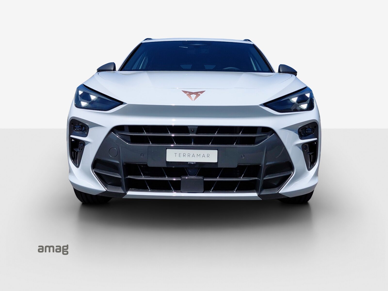 CUPRA TERRAMAR 4DRIVE PRIME EDITION, Benzina, Auto nuove, Automatico - 7