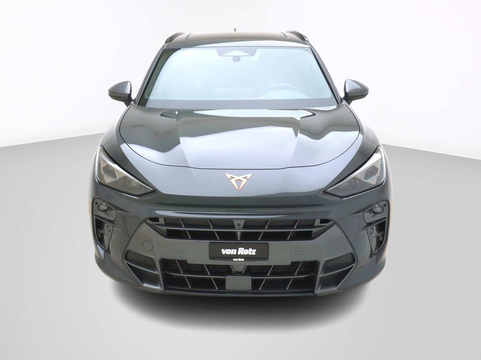 CUPRA Terramar 2.0 TSI 4Drive DSG, Benzin, Neuwagen, Automatik - 7