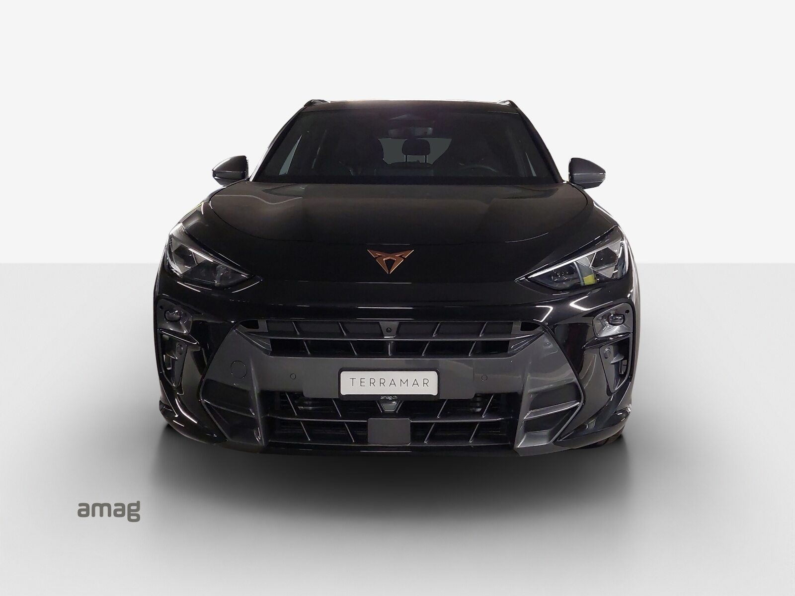 CUPRA TERRAMAR VZ 4DRIVE PRIME EDITION, Benzina, Auto nuove, Automatico - 7
