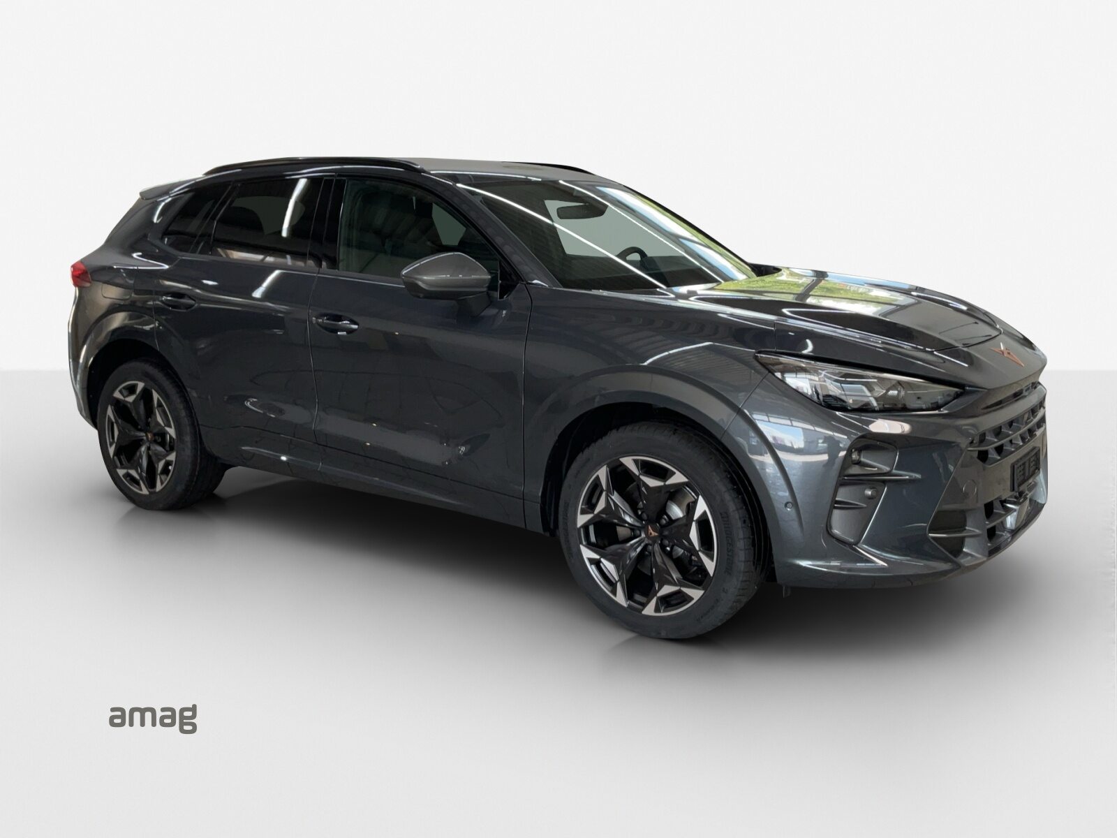 CUPRA TERRAMAR 4DRIVE PRIME EDITION, Essence, Voiture nouvelle, Automatique - 6