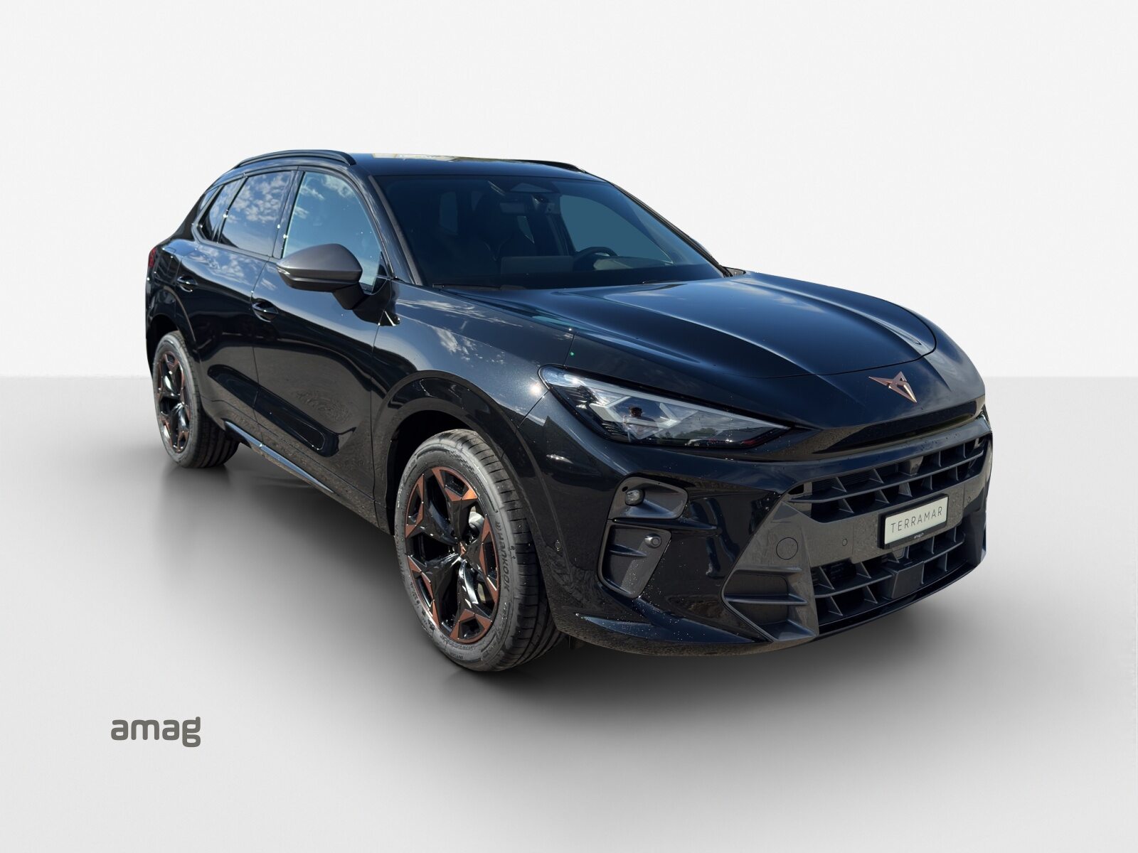 CUPRA TERRAMAR 4DRIVE PRIME EDITION, Essence, Voiture nouvelle, Automatique - 6