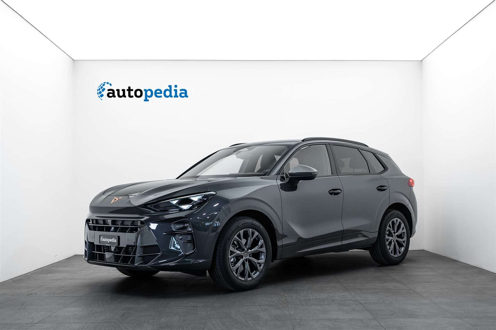 CUPRA Terramar 1.5 eTSi DSG-Automat