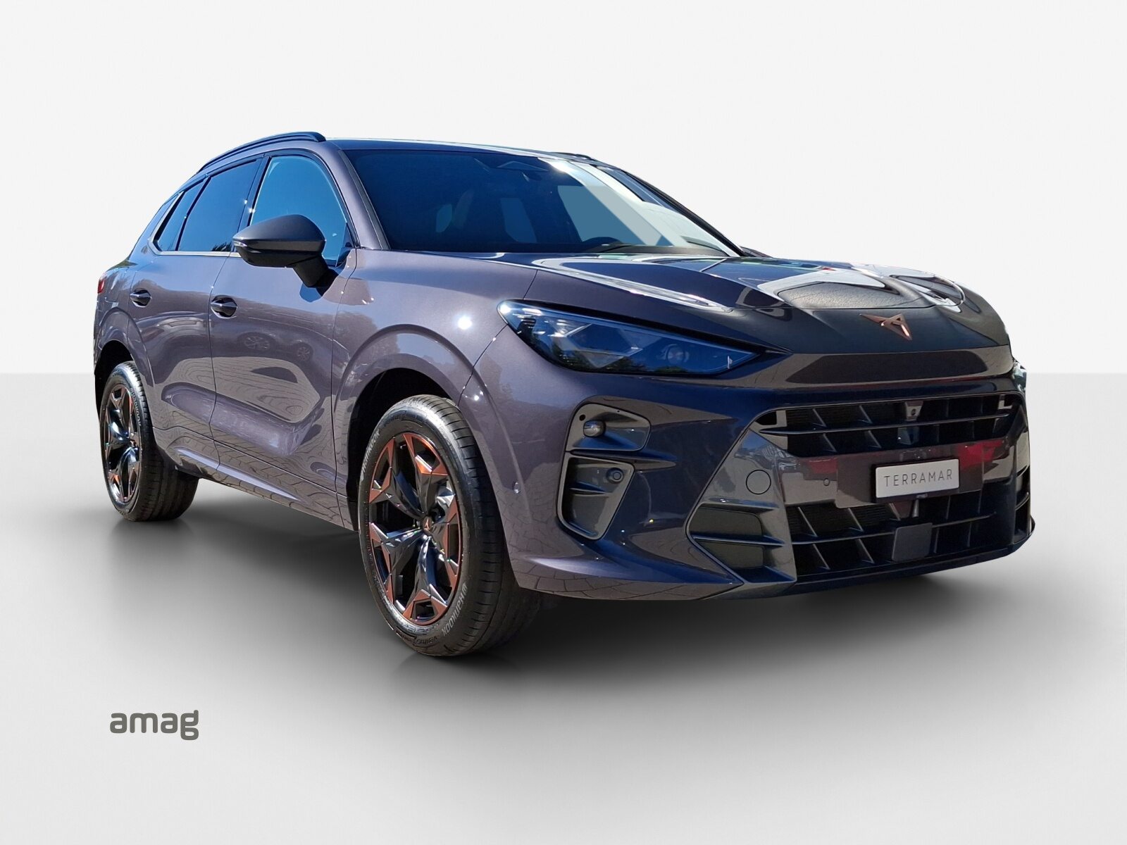 CUPRA TERRAMAR VZ e-HYBRID PRIME EDITION, Hybride Intégral Essence/Électricité, Voiture nouvelle, Automatique - 6