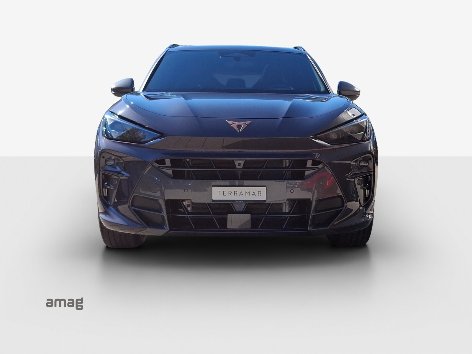 CUPRA TERRAMAR VZ e-HYBRID PRIME EDITION, Hybride Intégral Essence/Électricité, Voiture nouvelle, Automatique - 7