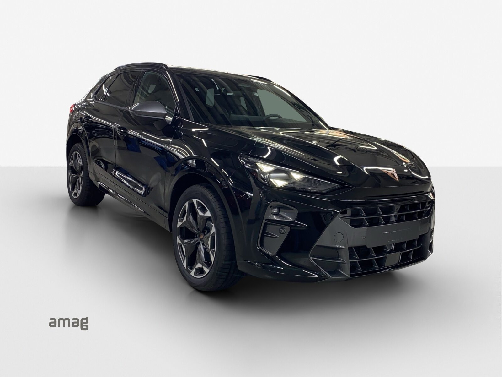 CUPRA TERRAMAR 4DRIVE PRIME EDITION, Petrol, New car, Automatic - 6