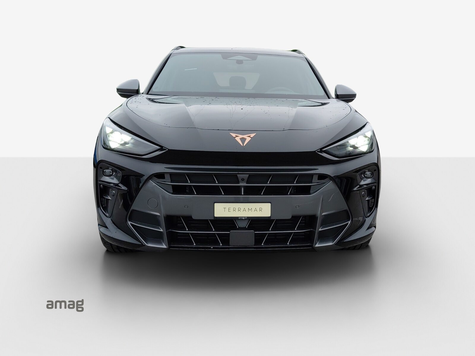 CUPRA TERRAMAR PRIME EDITION, Benzina, Auto nuove, Automatico - 7