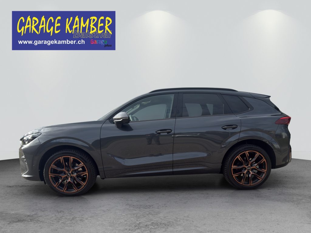 CUPRA TERRAMAR, Essence, Occasion / Utilisé, Automatique - 3