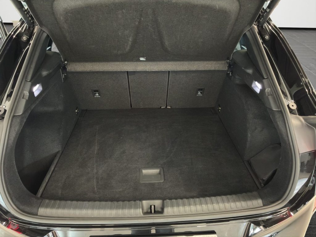 CUPRA TERRAMAR 2.0 TSI VZ 4Drive DSG, Essence, Occasion / Utilisé, Automatique - 7