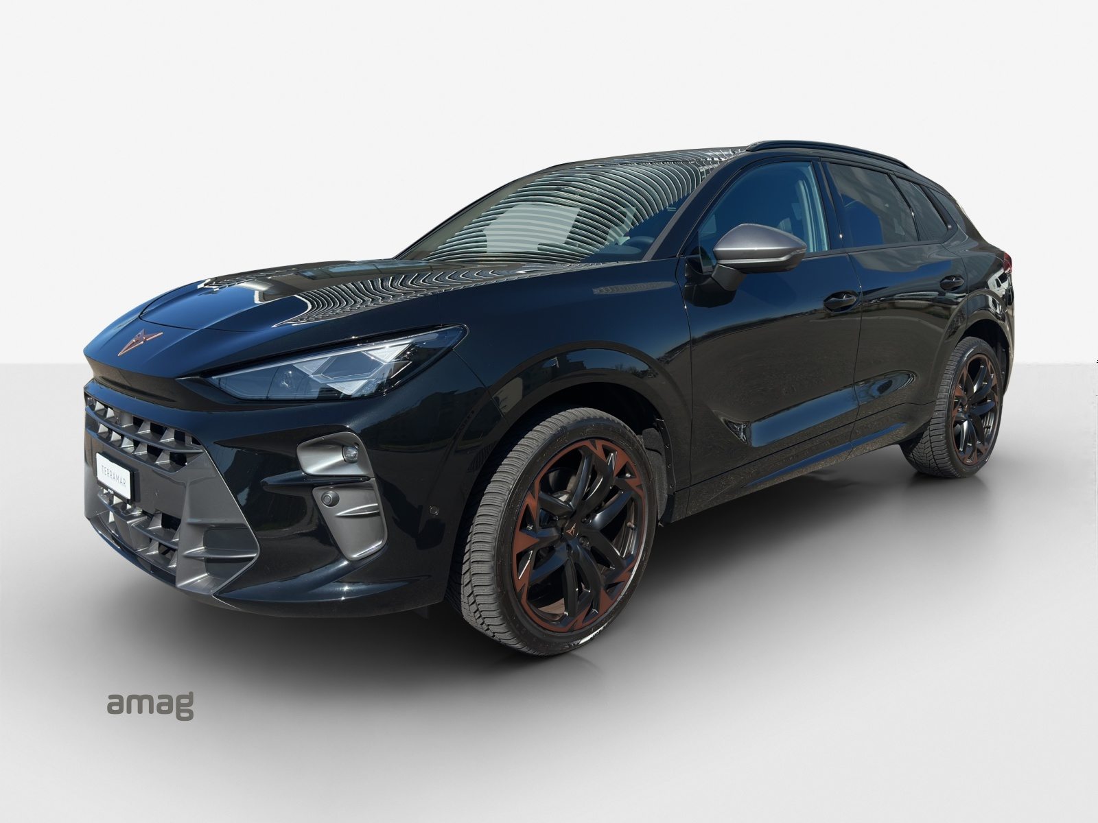 CUPRA TERRAMAR 4DRIVE