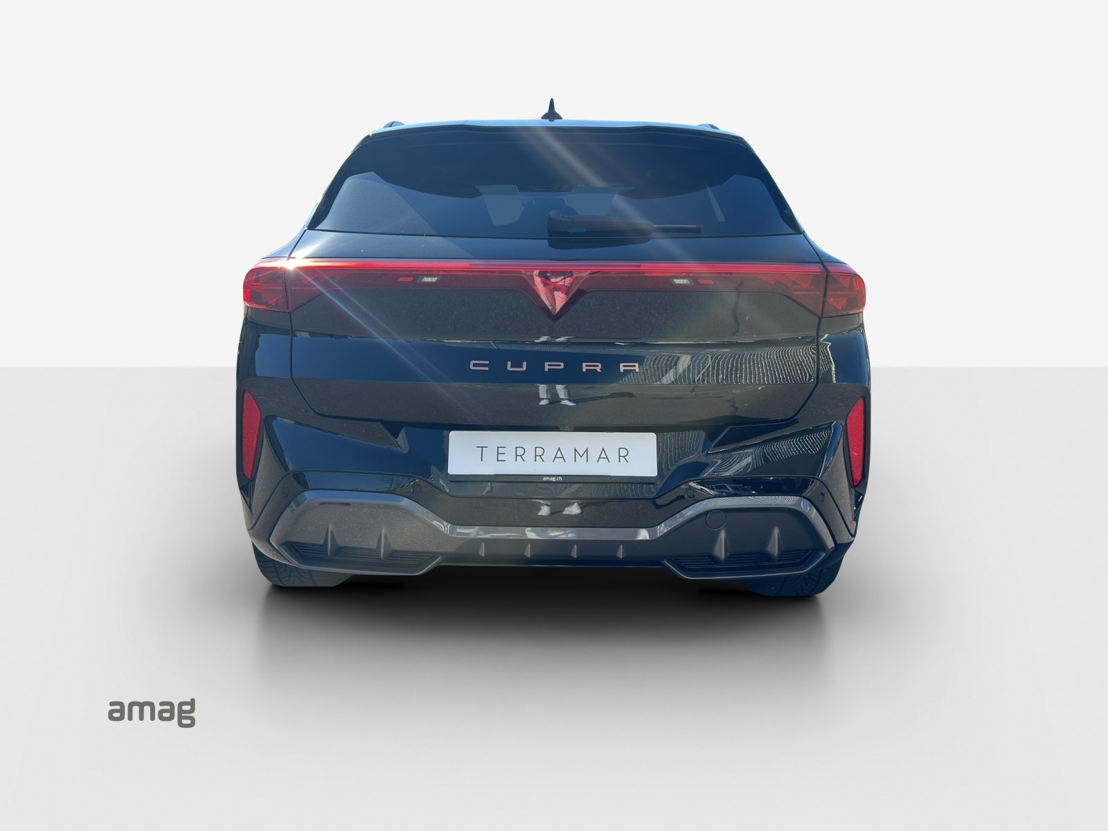 CUPRA TERRAMAR 4DRIVE, Benzin, Occasion / Gebraucht, Automatik - 4