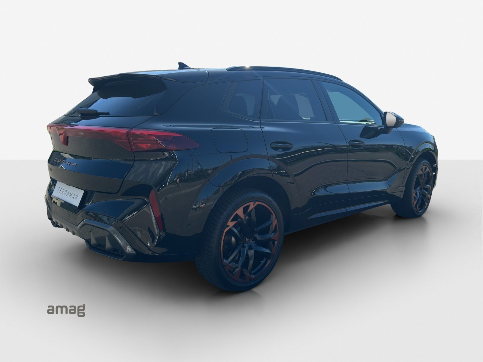 CUPRA TERRAMAR 4DRIVE, Benzin, Occasion / Gebraucht, Automatik - 5