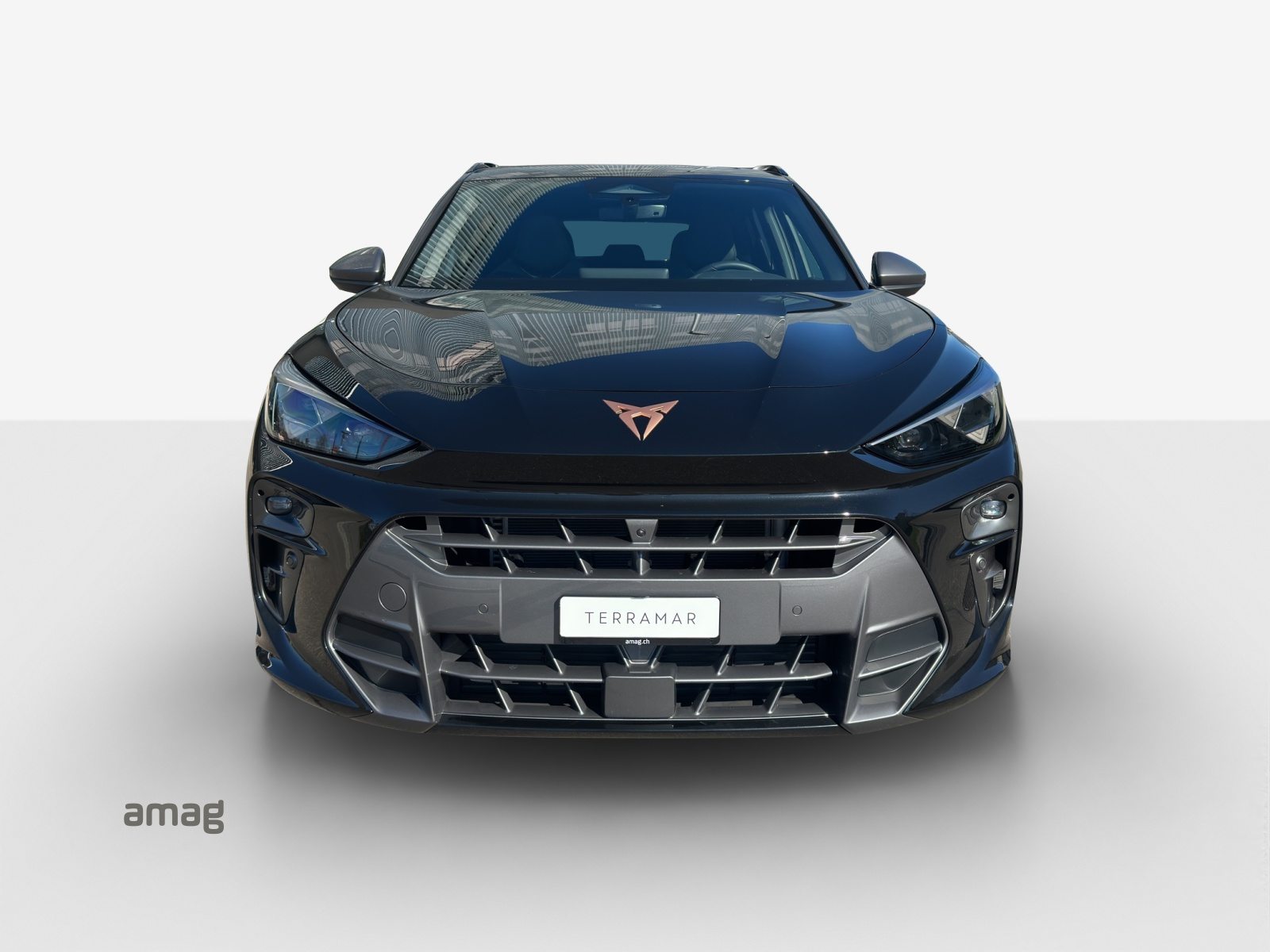 CUPRA TERRAMAR 4DRIVE, Benzin, Occasion / Gebraucht, Automatik - 7