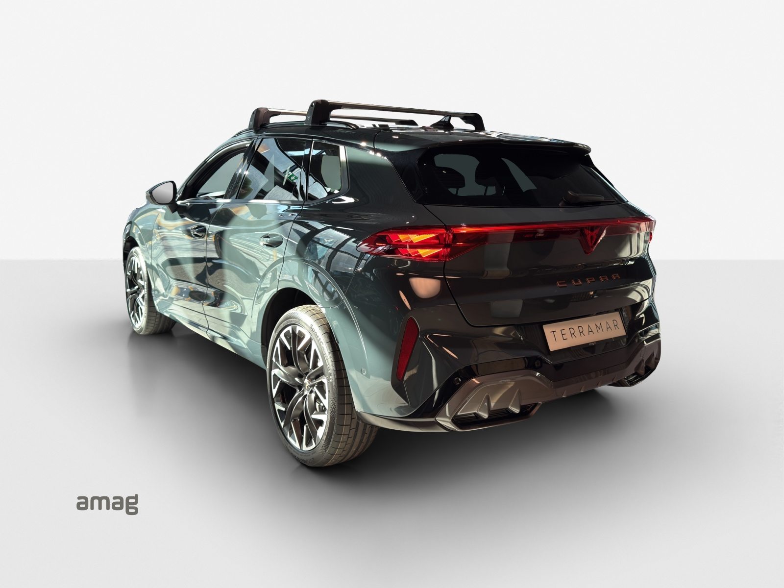 CUPRA TERRAMAR 4DRIVE, Benzina, Occasioni / Usate, Automatico - 3