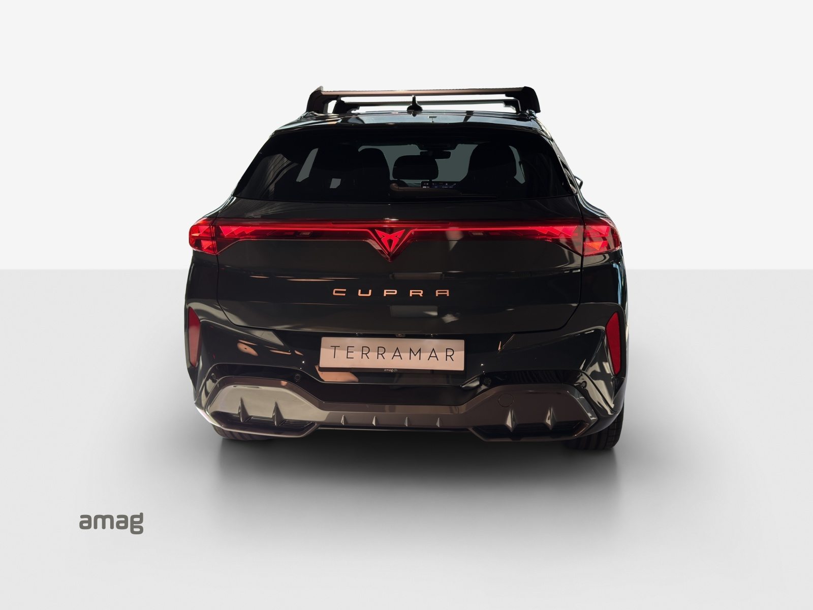 CUPRA TERRAMAR 4DRIVE, Benzina, Occasioni / Usate, Automatico - 4