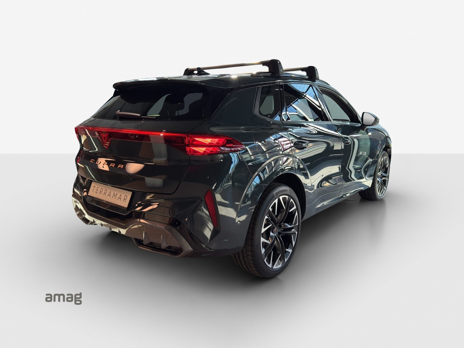 CUPRA TERRAMAR 4DRIVE, Benzina, Occasioni / Usate, Automatico - 5