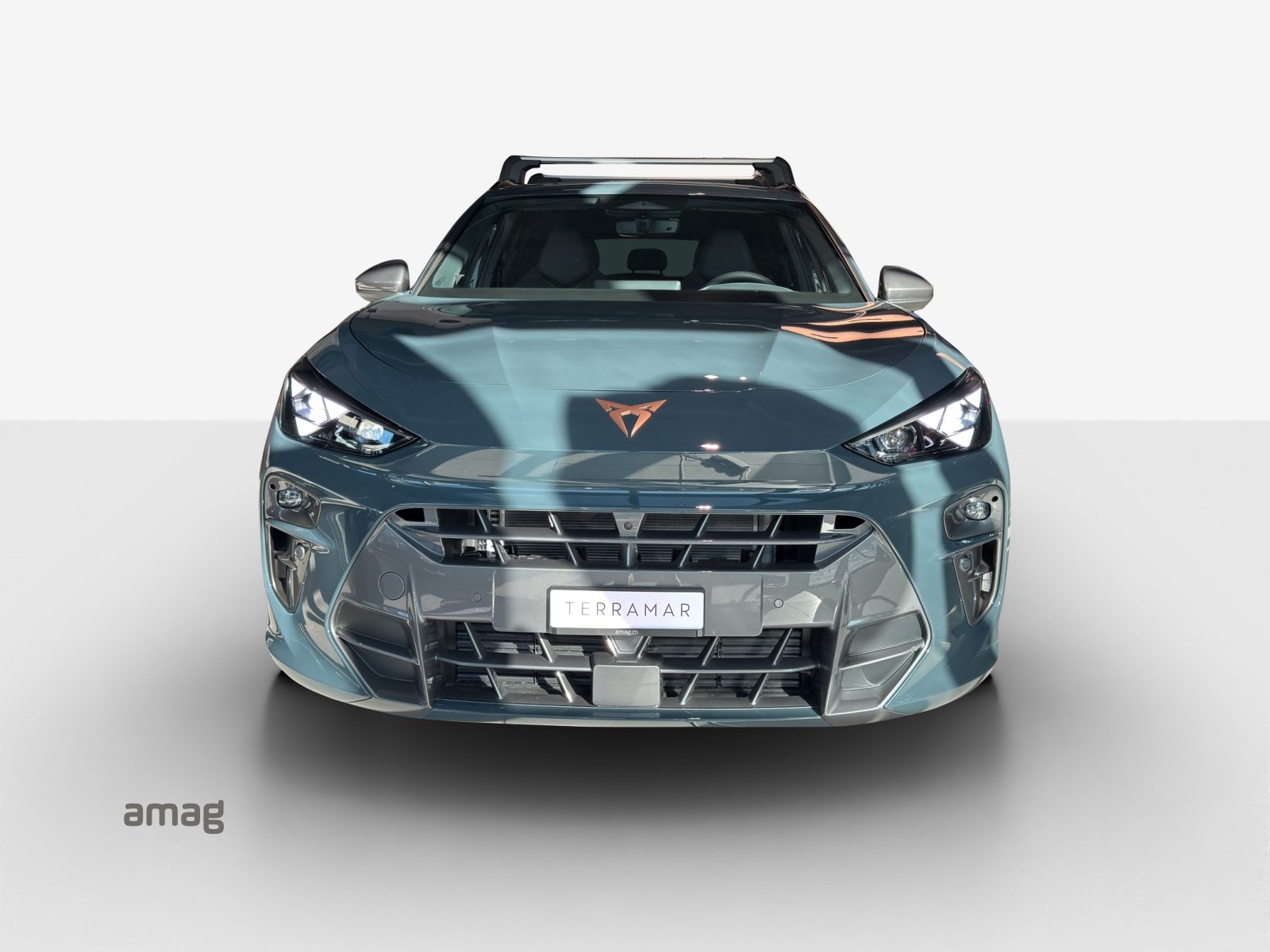 CUPRA TERRAMAR 4DRIVE, Benzina, Occasioni / Usate, Automatico - 7