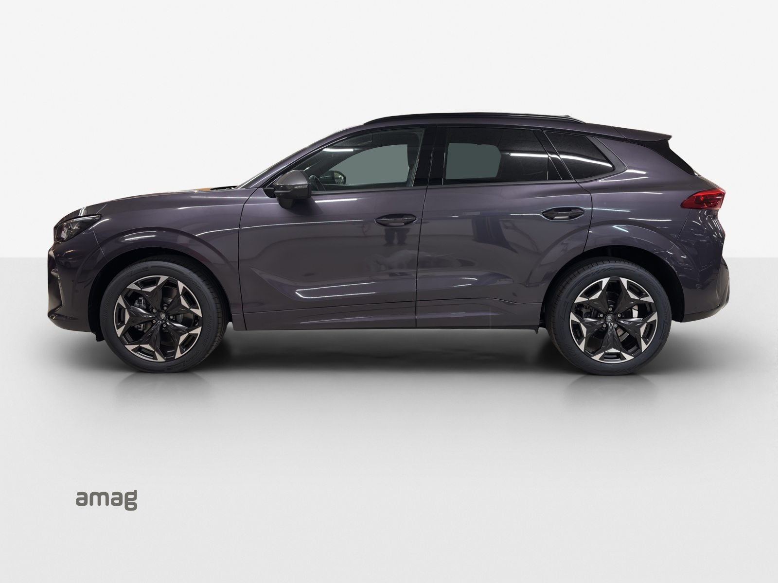 CUPRA TERRAMAR 4DRIVE, Benzina, Occasioni / Usate, Automatico - 2