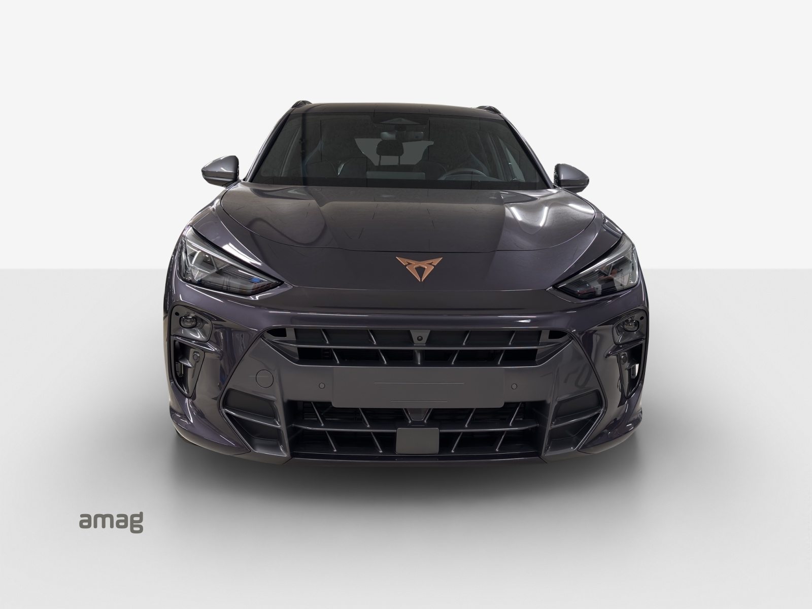 CUPRA TERRAMAR 4DRIVE, Benzina, Occasioni / Usate, Automatico - 7