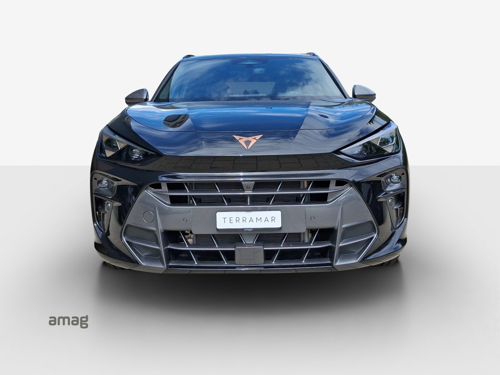 CUPRA TERRAMAR e-HYBRID, Voll-Hybrid Benzin/Elektro, Occasion / Gebraucht, Automatik - 7
