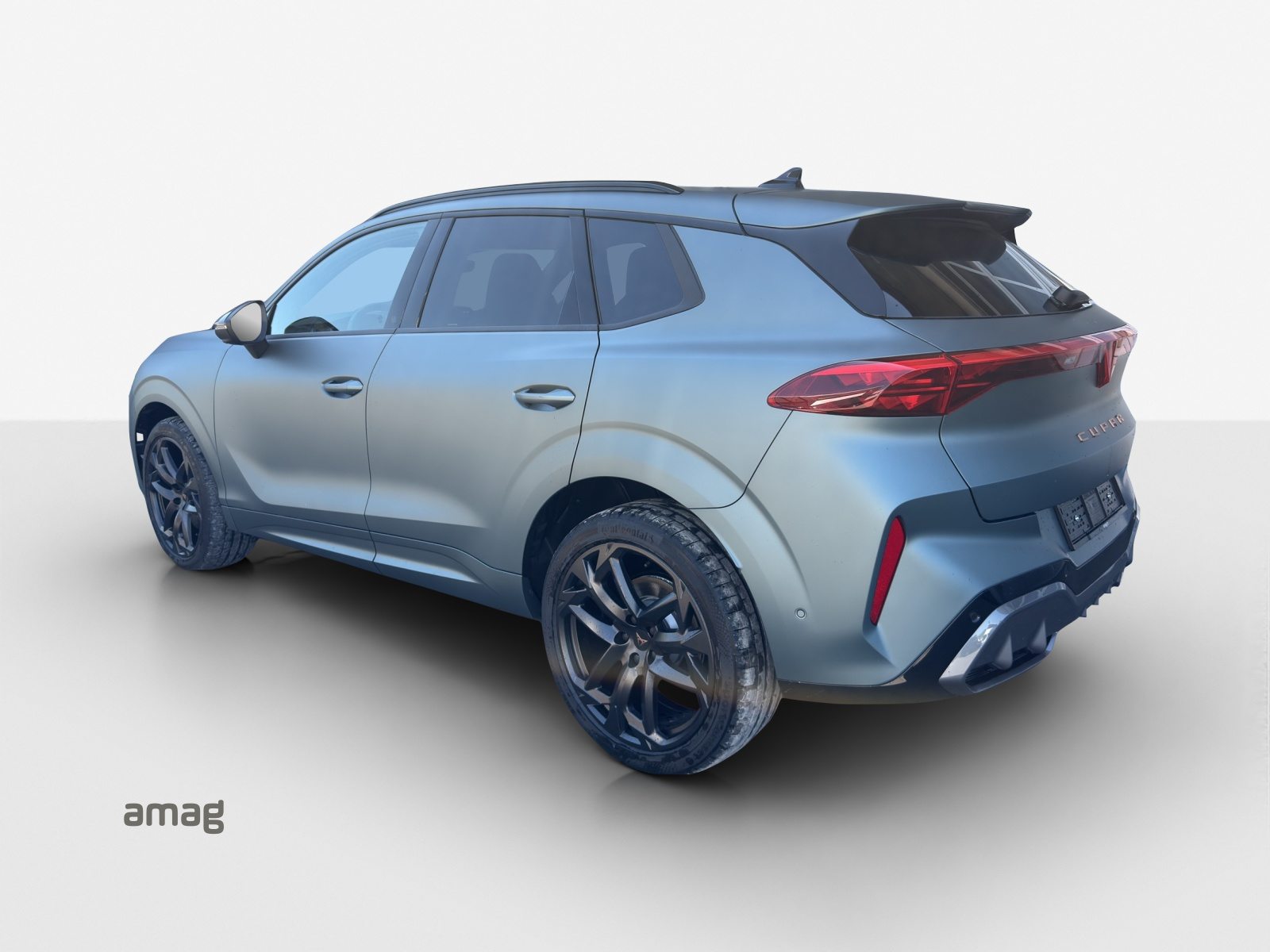 CUPRA TERRAMAR Americas CUP L.E. 4DRIVE, Essence, Occasion / Utilisé, Automatique - 6