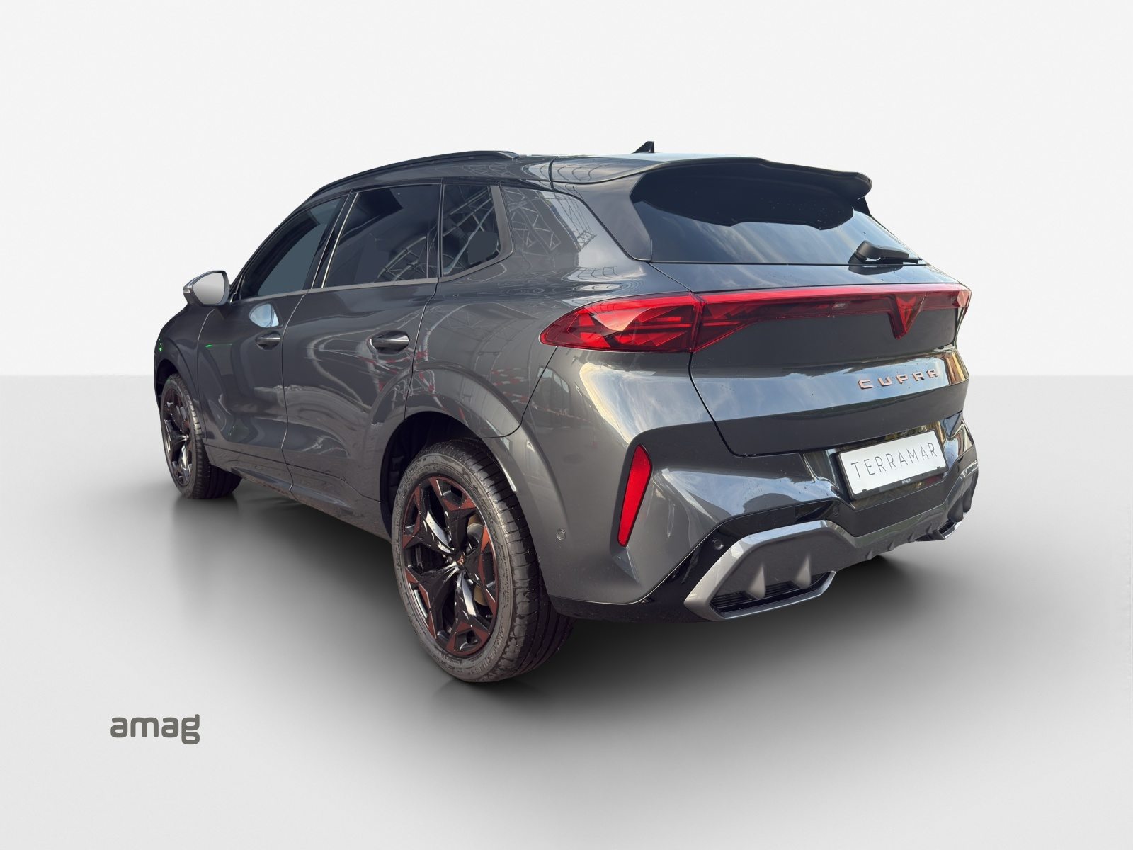 CUPRA TERRAMAR 4DRIVE, Benzin, Occasion / Gebraucht, Automatik - 3