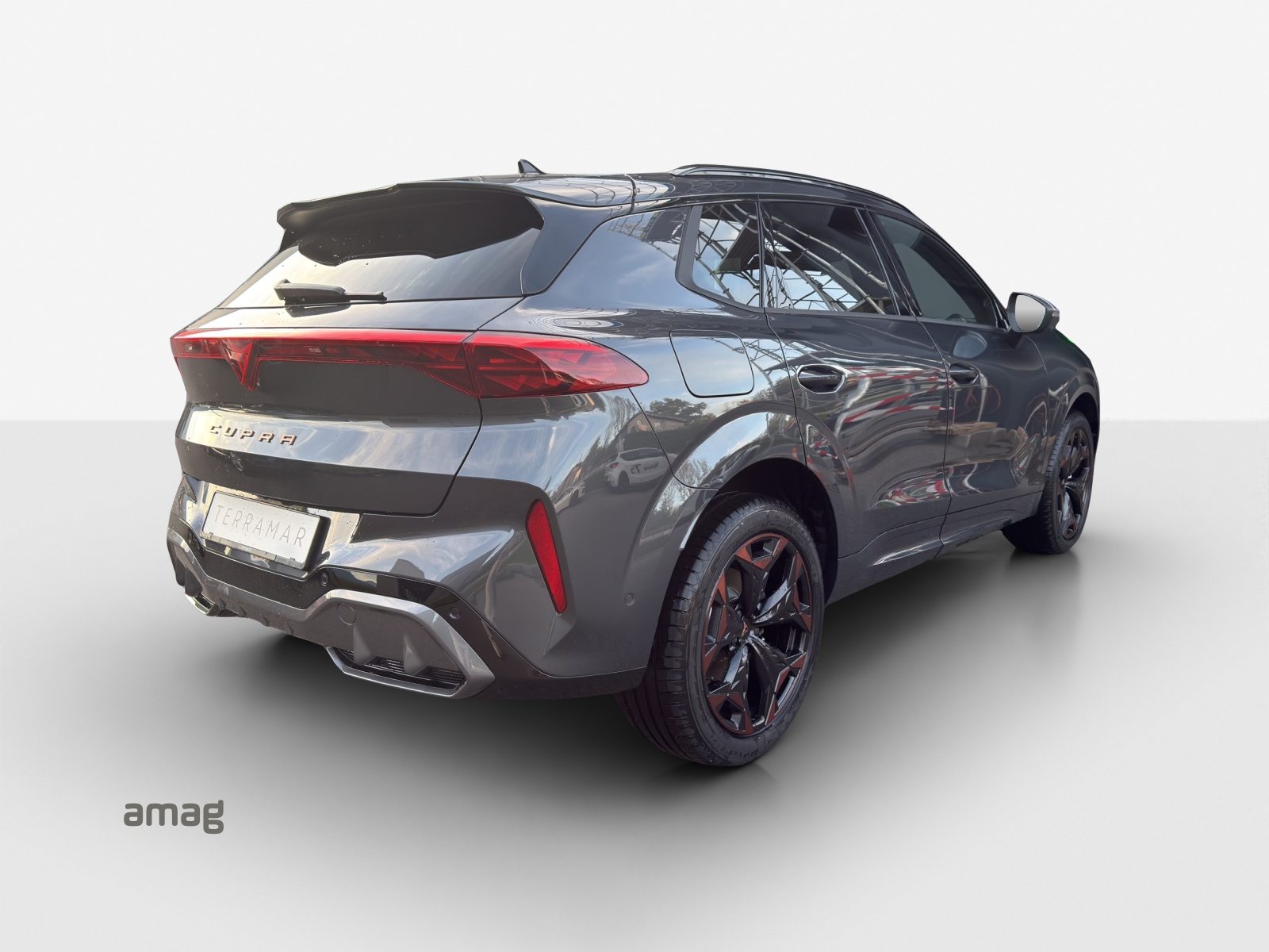 CUPRA TERRAMAR 4DRIVE, Benzin, Occasion / Gebraucht, Automatik - 5