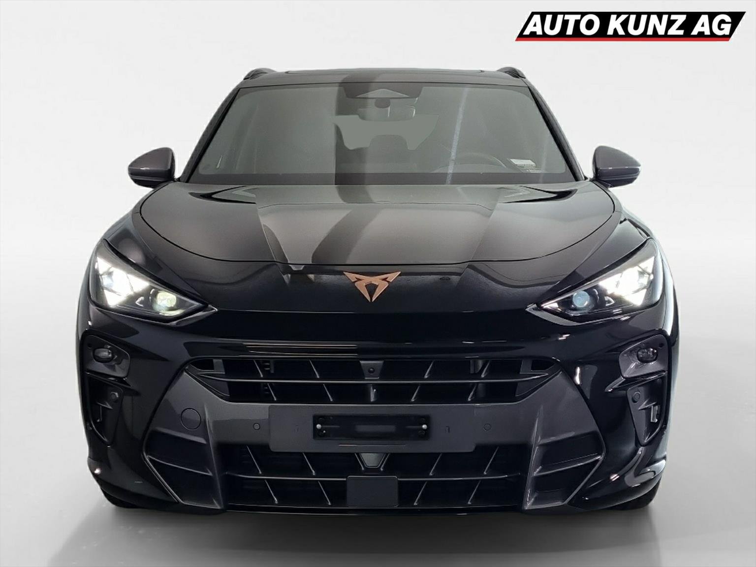 CUPRA Terramar 2.0 TSI VZ DSG 4Drive Pano / AHK, Petrol, Second hand / Used, Automatic - 3