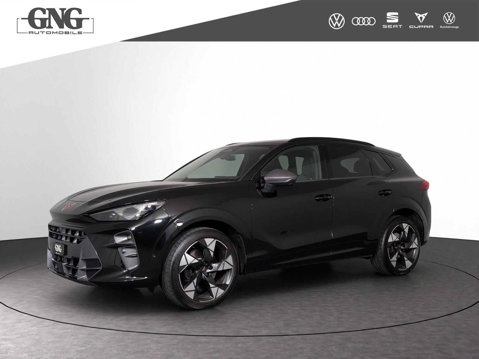 CUPRA TERRAMAR 4DRIVE