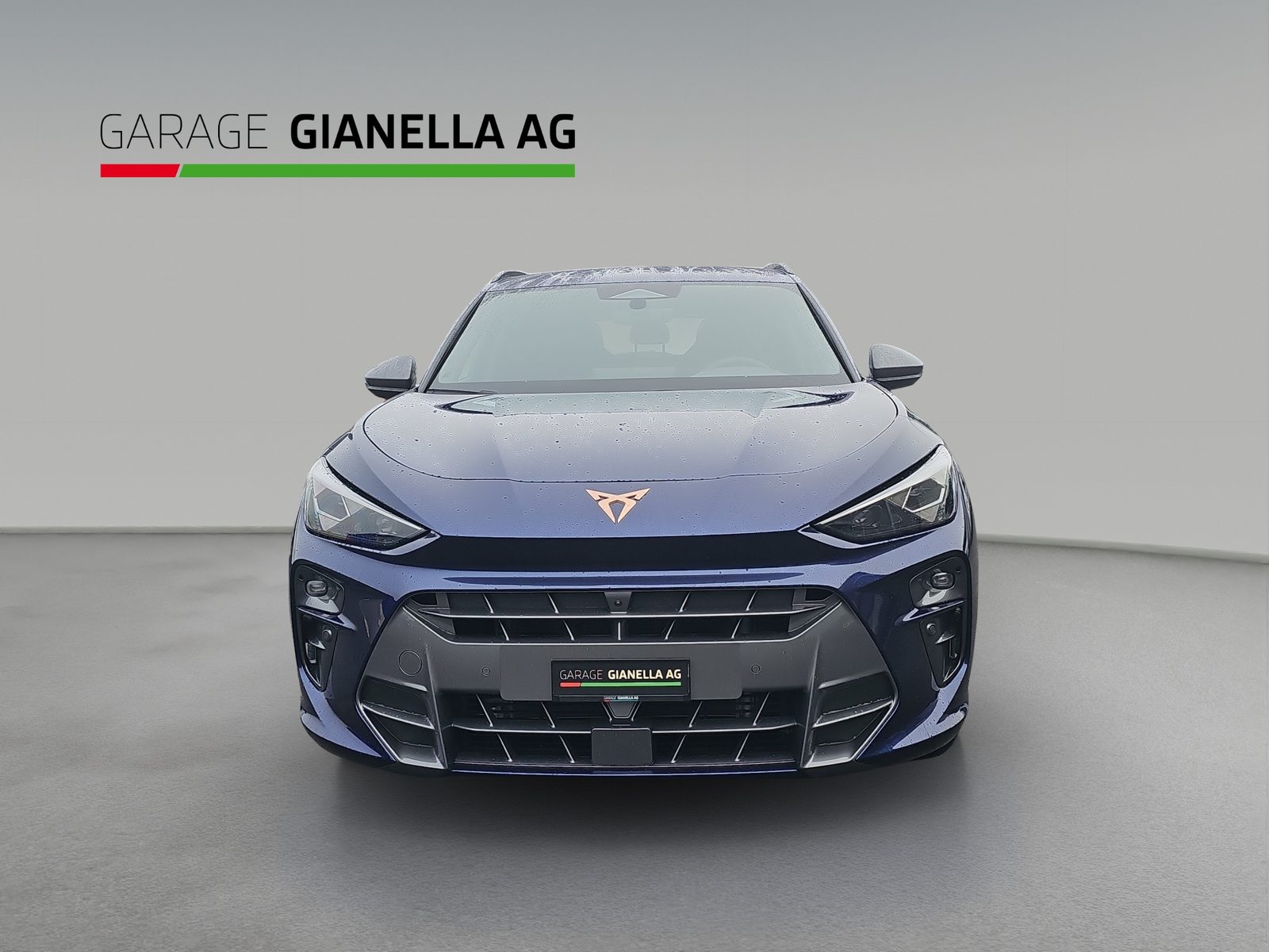CUPRA TERRAMAR VZ 4DRIVE, Benzina, Occasioni / Usate, Automatico - 5