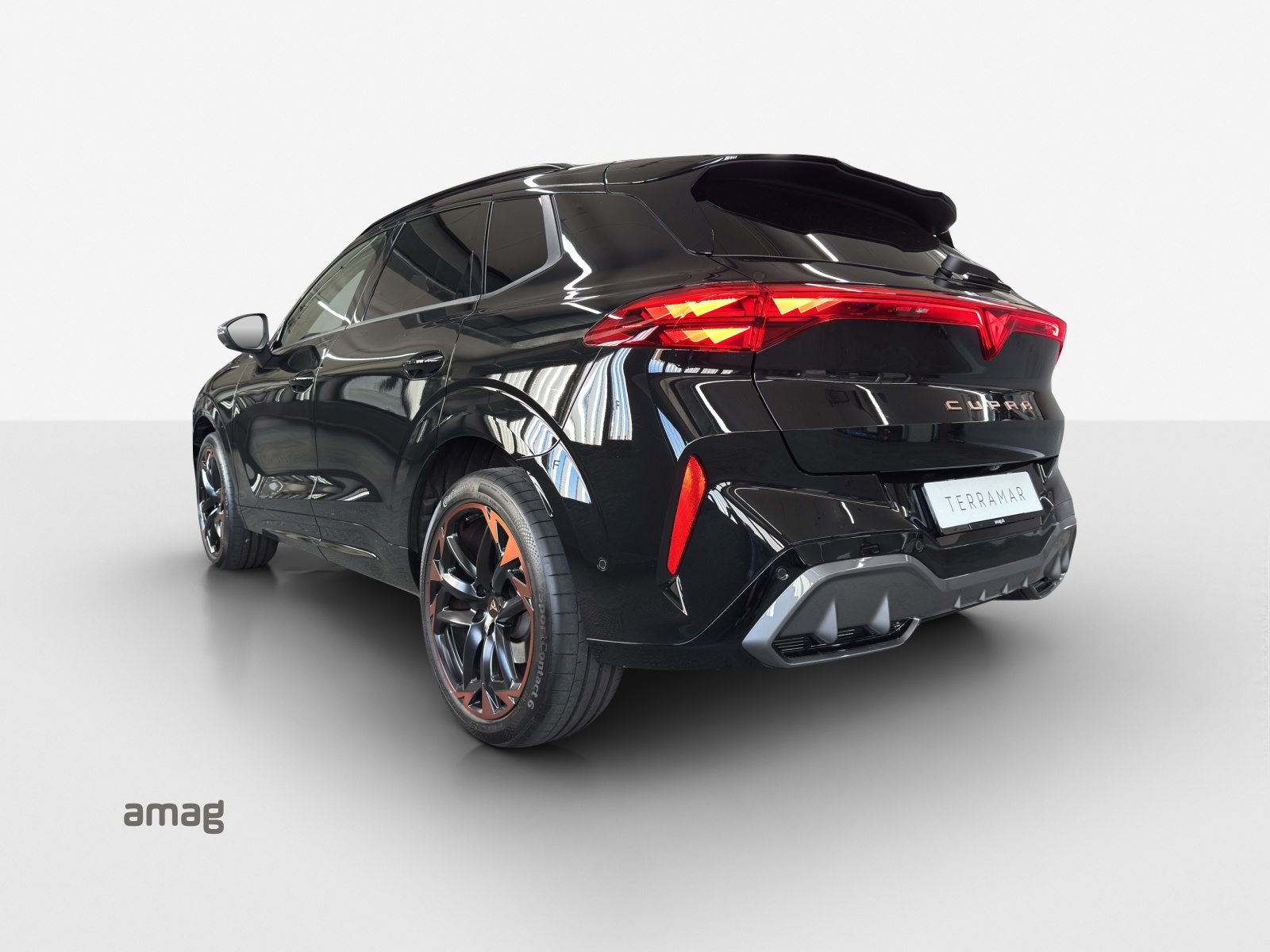 CUPRA TERRAMAR 4DRIVE, Benzina, Occasioni / Usate, Automatico - 2
