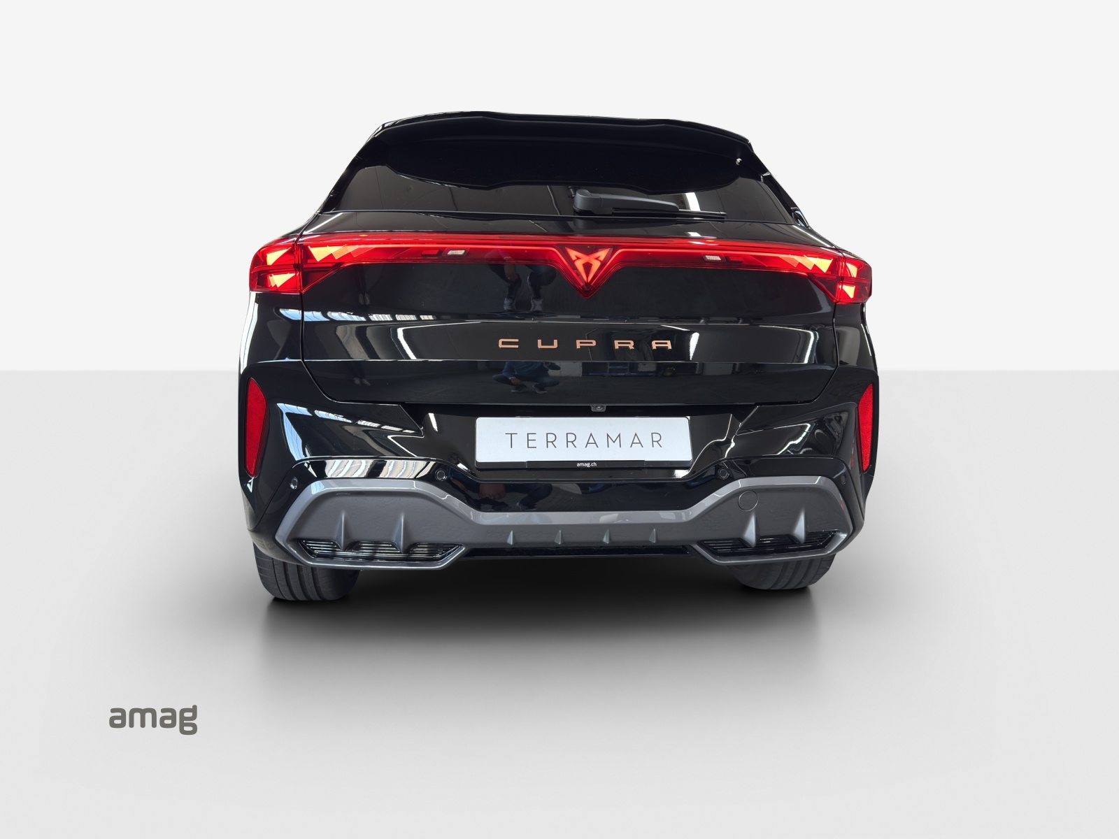 CUPRA TERRAMAR 4DRIVE, Benzina, Occasioni / Usate, Automatico - 3