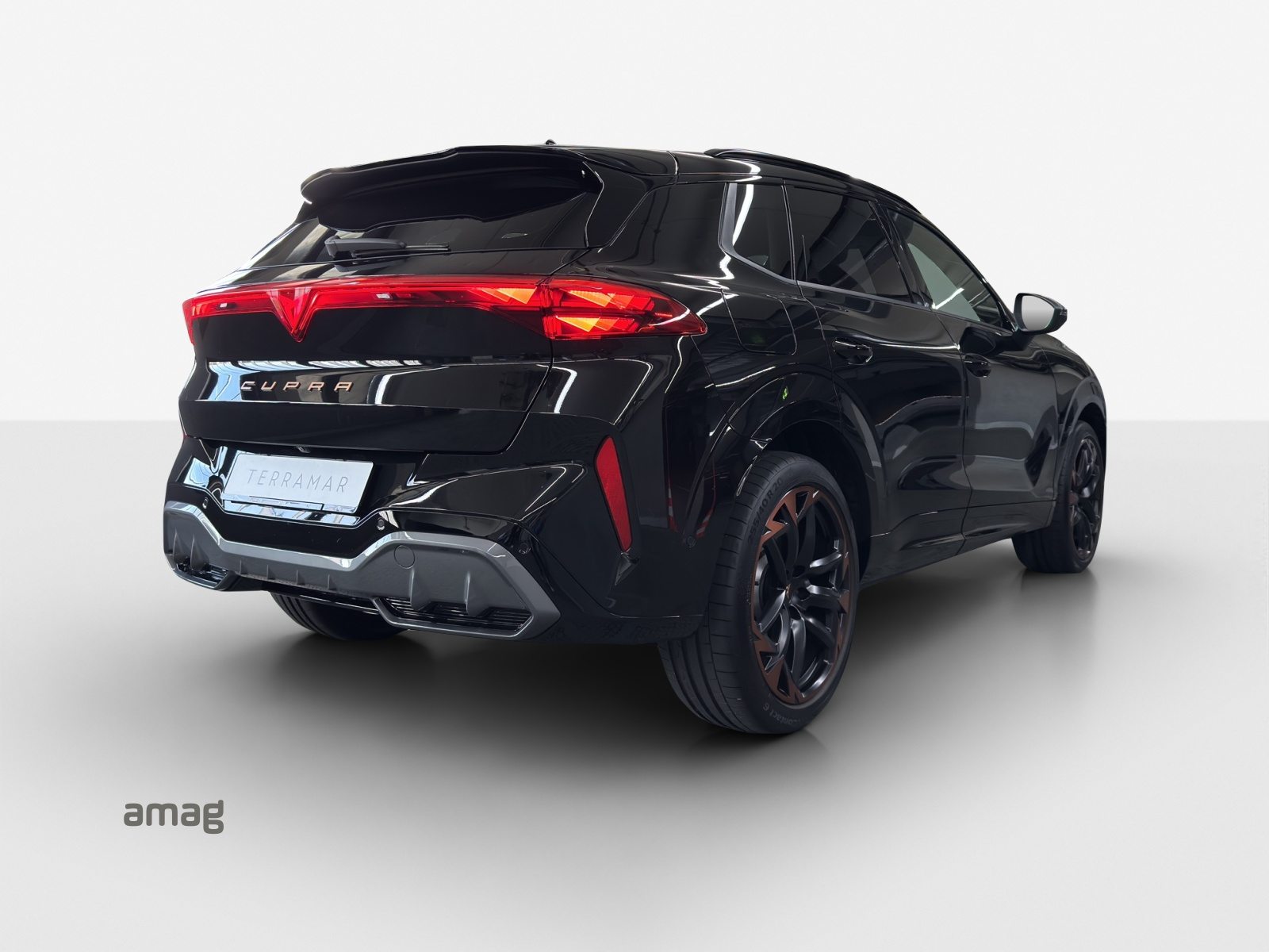 CUPRA TERRAMAR 4DRIVE, Benzina, Occasioni / Usate, Automatico - 4