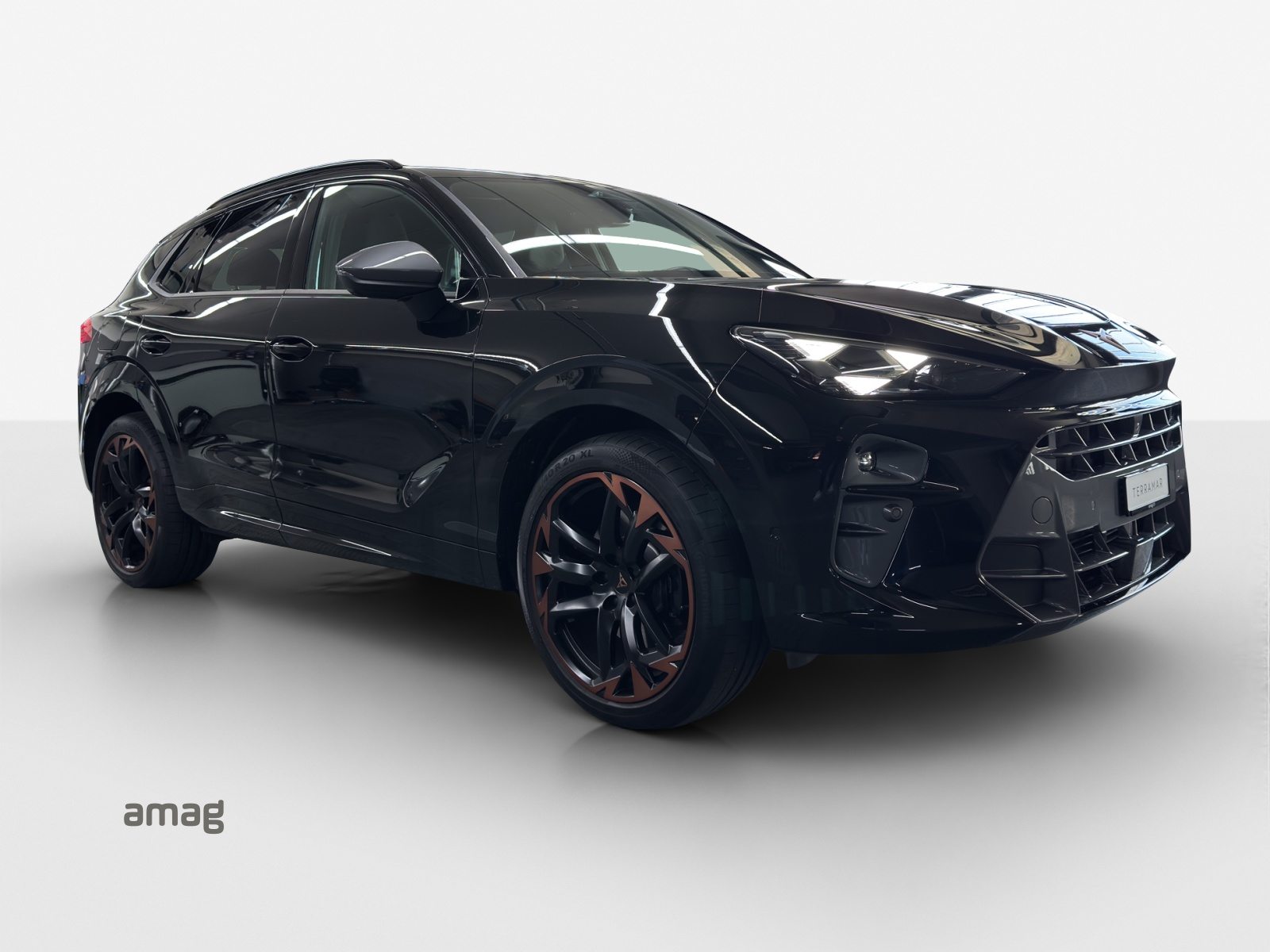 CUPRA TERRAMAR 4DRIVE, Benzina, Occasioni / Usate, Automatico - 5
