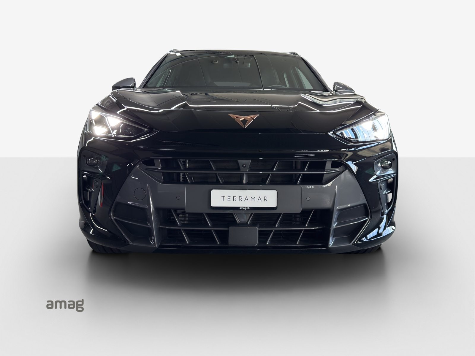 CUPRA TERRAMAR 4DRIVE, Benzina, Occasioni / Usate, Automatico - 6