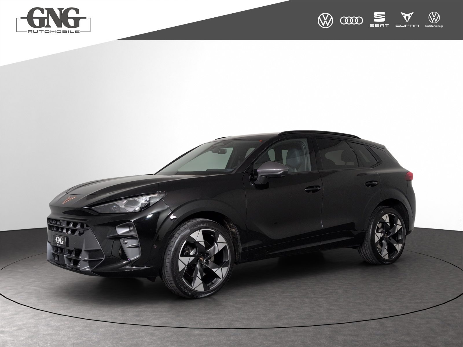CUPRA TERRAMAR 4DRIVE