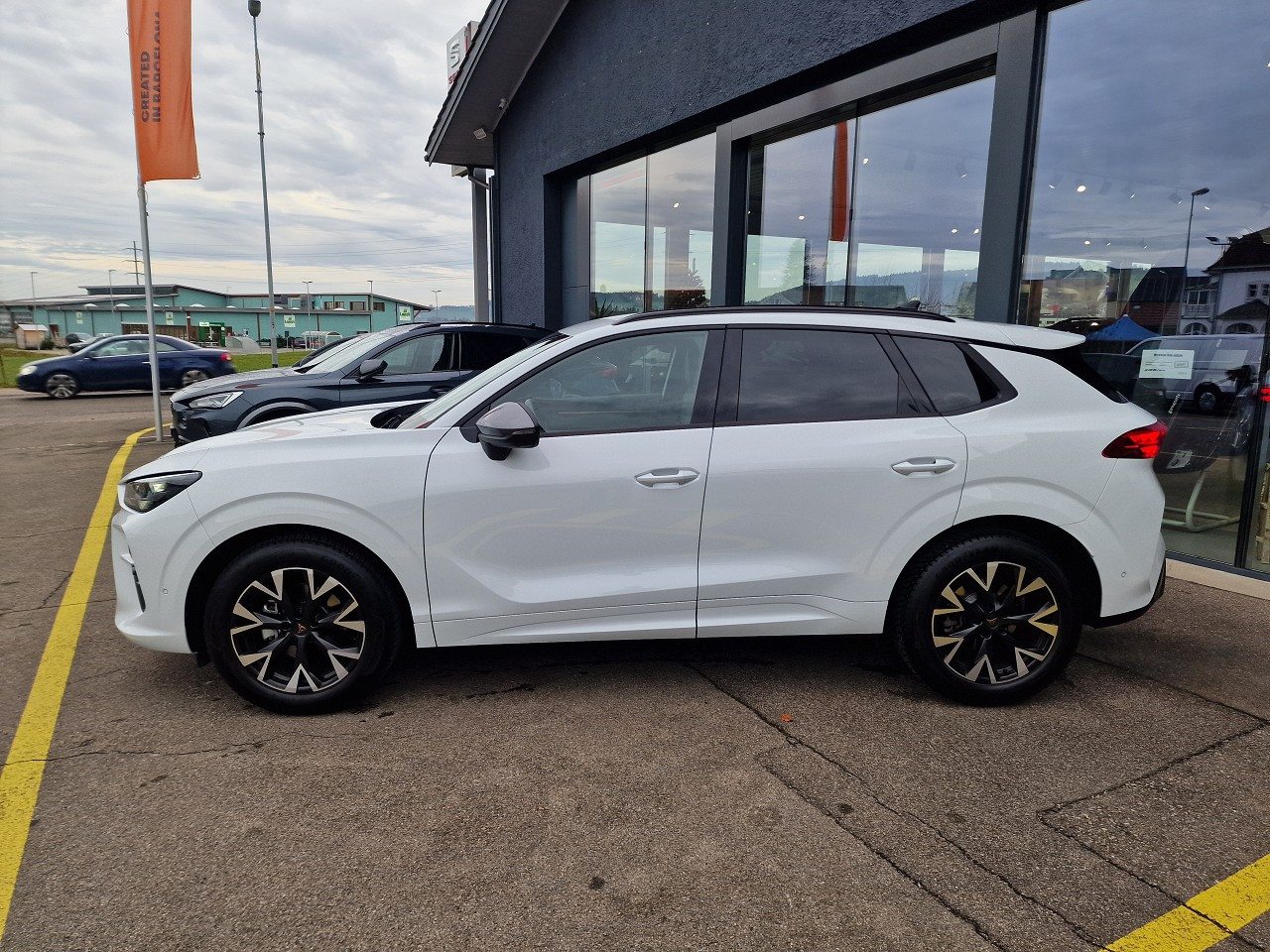 CUPRA TERRAMAR, Benzina, Occasioni / Usate, Automatico - 3